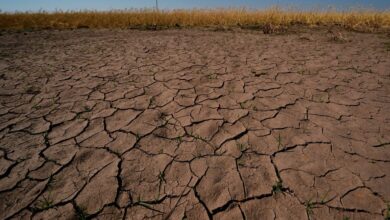 Te explicamos el fenómeno de El Niño, que podría regresar este verano Te explicamos el fenómeno de El Niño, que podría regresar este verano